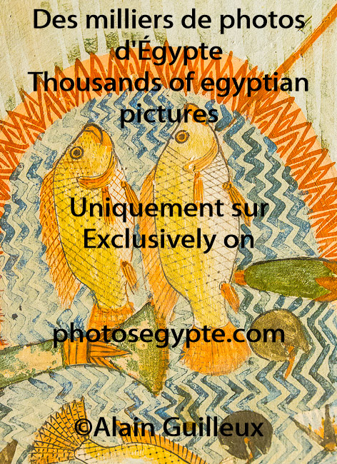Musée du Caire - L'équipement des momies de Youya et Touya